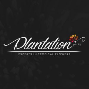 Plantation Flowers